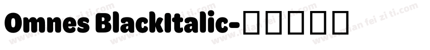 Omnes BlackItalic字体转换